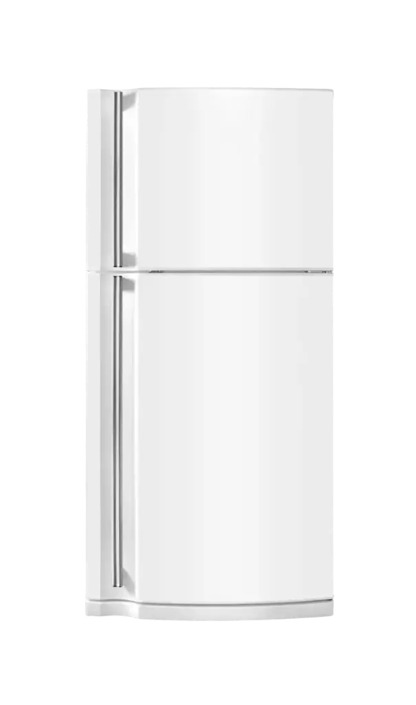 Samsung 256 L Frost Free Double Door 2 Star Refrigerator
